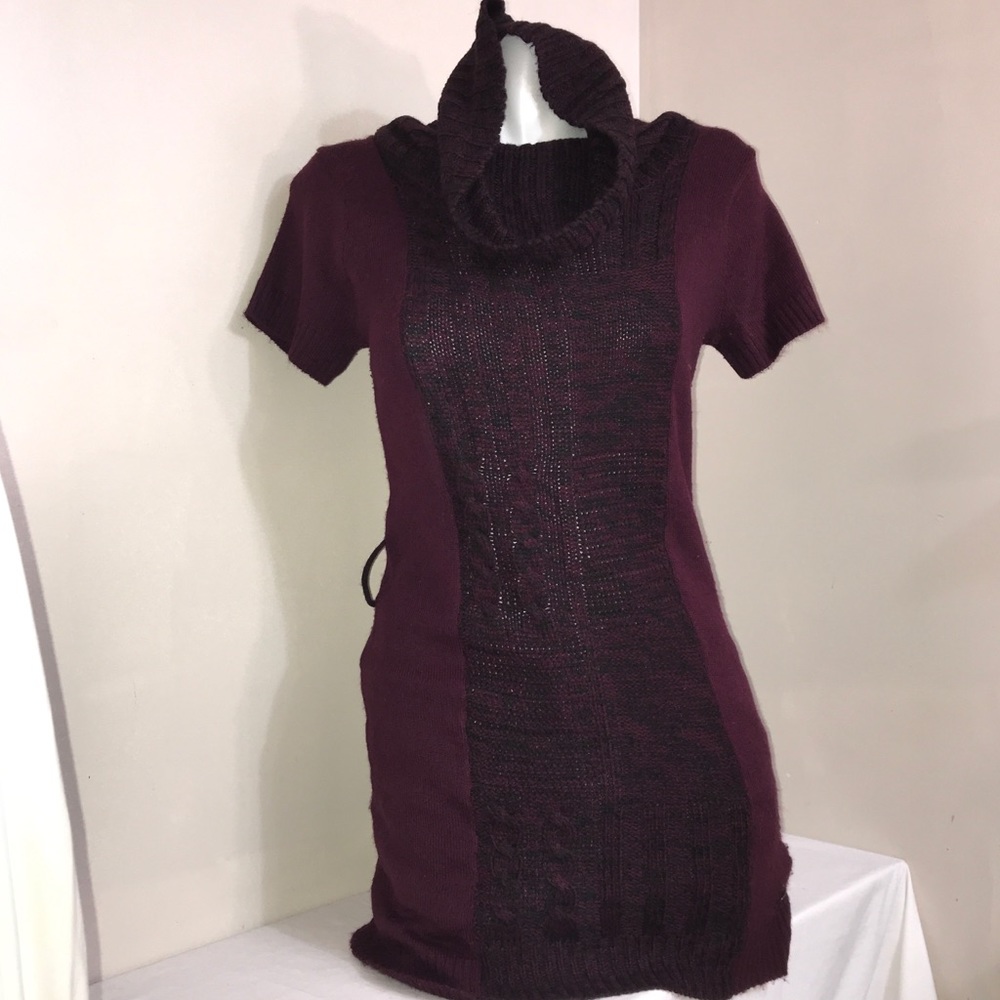 Point Zero Deep Burgundy Wine Turtleneck Dress